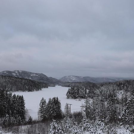 Utsikten - Cabin With A Great View Drangedal Екстер'єр фото